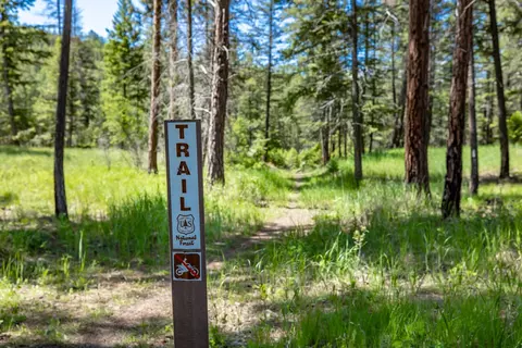 Other - 731 Hoodoo Loop, Rexford, MT 59930 photo 6 of 6
