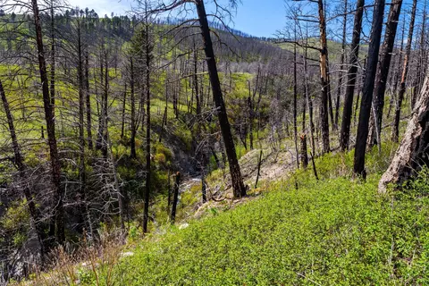 2010 Us Highway 12 E, Townsend, MT 59644 photo 32