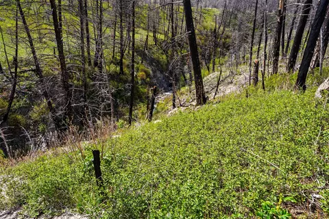 2010 Us Highway 12 E, Townsend, MT 59644 photo 31