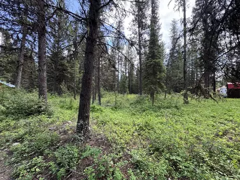 768 Deep Woods Trl, Polebridge, MT 59928 photo 2