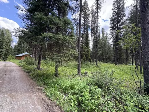 768 Deep Woods Trl, Polebridge, MT 59928 photo 3