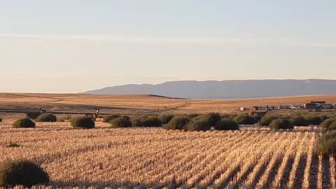tbd Antelope Rd, Shawmut, MT 59078
