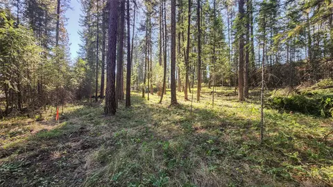 1505 Kootenai River Rd, Libby, MT 59923