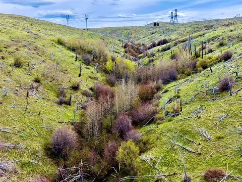 0 Ridge Rd, Townsend, MT 59644 photo 12