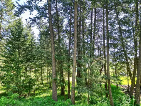 27 Wilson Dr, Kalispell, MT 59901 photo 21