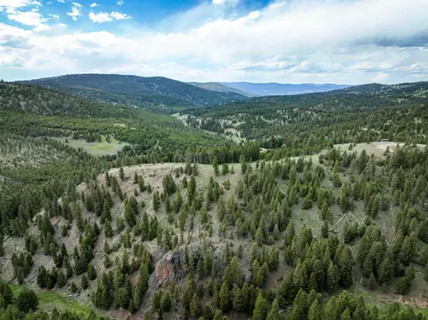 Nhn Hoover Creek Road, Helmville, MT 59843