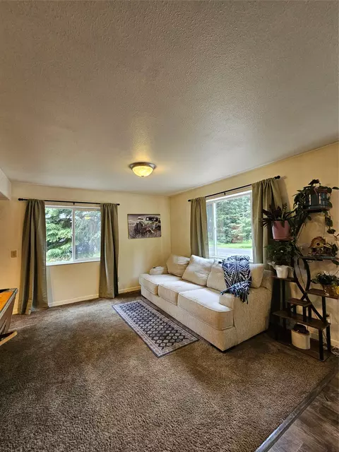 Living - 229 3rd Ave, Lincoln, MT 59639 photo 4 of 4