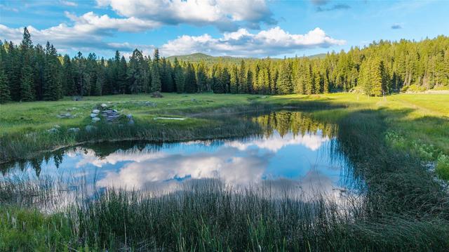 1451 Coon Hollow Rd, Kila, MT 59920