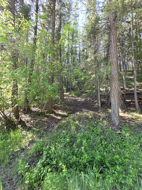 255 W Cedar St, Libby, MT 59923 photo 4