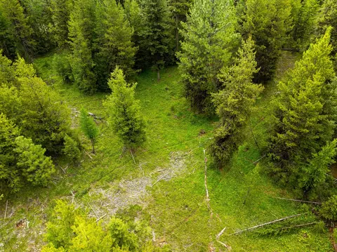 73 Loon Connector Rd, Libby, MT 59923 photo 25