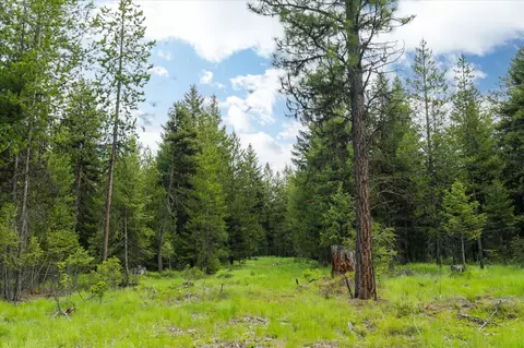 73 Loon Connector Rd, Libby, MT 59923 photo 15
