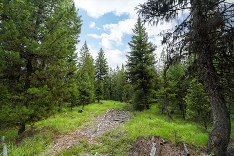 73 Loon Connector Rd, Libby, MT 59923 photo 16