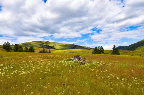 2 Henry Creek Road, Plains, MT 59859