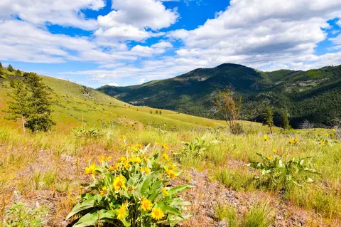 285 Henry Creek Rd, Plains, MT 59859