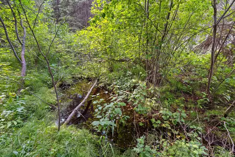 Other - 14000 N Fork Rd, Polebridge, MT 59928 photo 13 of 27