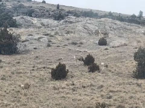 3 Bradley Creek Road, Norris, MT 59745