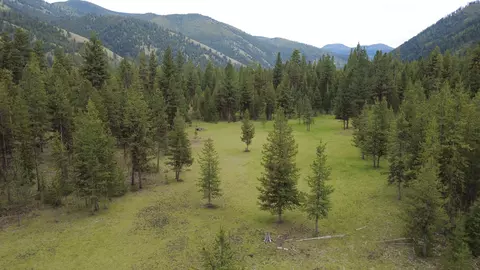 Tract A West Meadow Road, Darby, MT 59829