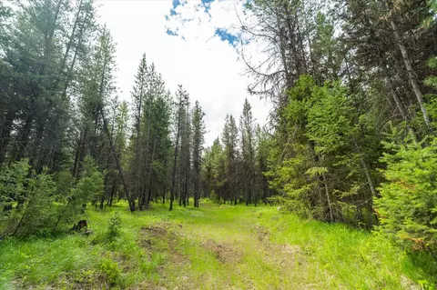 58 Loon Connector Rd, Libby, MT 59923 photo 17
