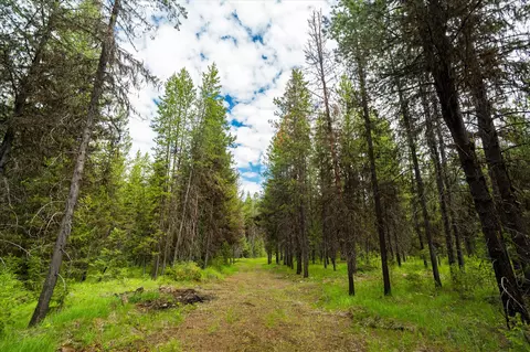 58 Loon Connector Rd, Libby, MT 59923 photo 7