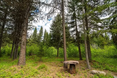58 Loon Connector Rd, Libby, MT 59923 photo 12