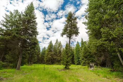 58 Loon Connector Rd, Libby, MT 59923 photo 14