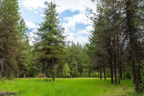 58 Loon Connector Rd, Libby, MT 59923 photo 8