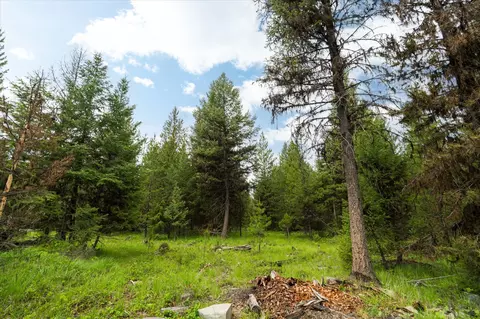 58 Loon Connector Rd, Libby, MT 59923 photo 6