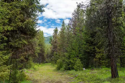 58 Loon Connector Rd, Libby, MT 59923 photo 5