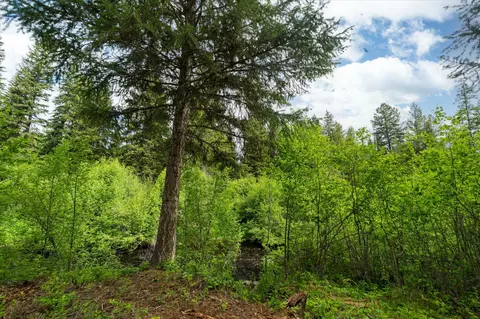 58 Loon Connector Rd, Libby, MT 59923 photo 13