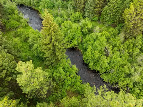 58 Loon Connector Rd, Libby, MT 59923 photo 30