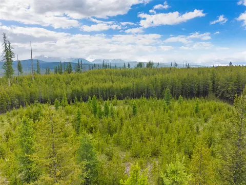 11532 N Fork Rd, Polebridge, MT 59928 photo 37