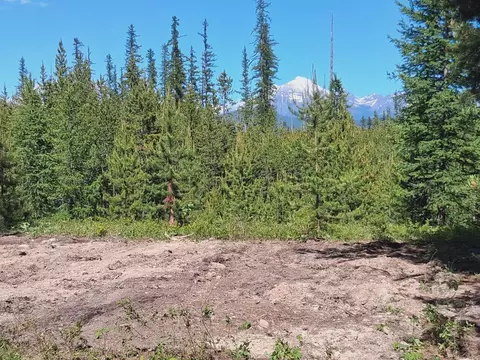 11532 N Fork Rd, Polebridge, MT 59928 photo 50