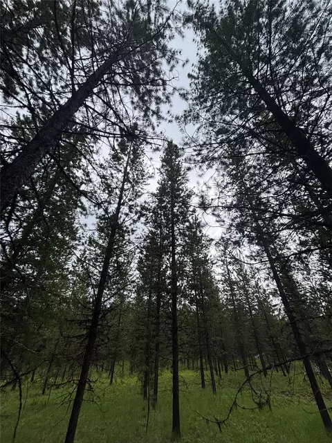 11532 N Fork Rd, Polebridge, MT 59928 photo 9