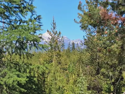 11532 N Fork Rd, Polebridge, MT 59928 photo 33