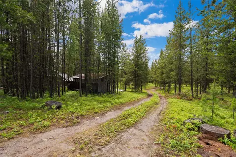 11532 N Fork Rd, Polebridge, MT 59928 photo 20