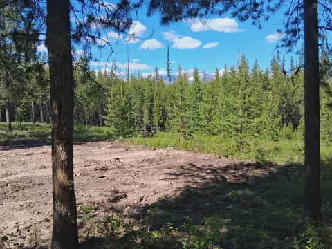 11532 N Fork Rd, Polebridge, MT 59928