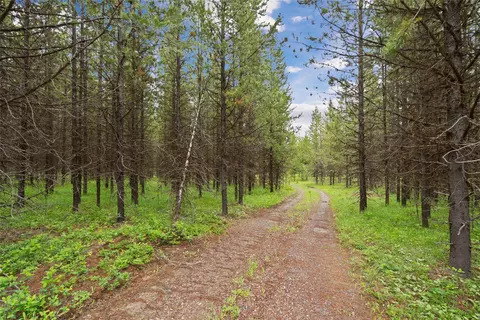11532 N Fork Rd, Polebridge, MT 59928 photo 17
