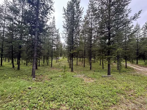 11532 N Fork Rd, Polebridge, MT 59928 photo 11