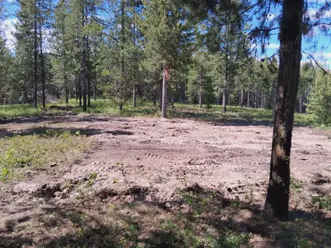 11532 N Fork Rd, Polebridge, MT 59928 photo 42