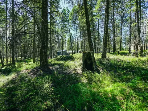 Exterior - 558 Bald Rock Rd, Kalispell, MT 59901 photo 34 of 48