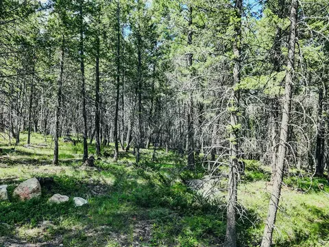 Other - 558 Bald Rock Rd, Kalispell, MT 59901 photo 10 of 20