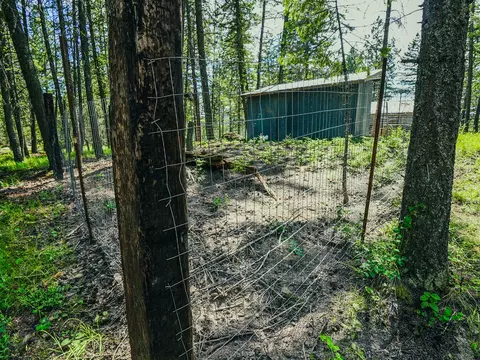 Exterior - 558 Bald Rock Rd, Kalispell, MT 59901 photo 18 of 48