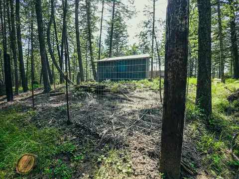Exterior - 558 Bald Rock Rd, Kalispell, MT 59901 photo 17 of 48