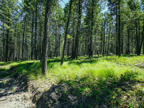 Other - 558 Bald Rock Rd, Kalispell, MT 59901 photo 16 of 20