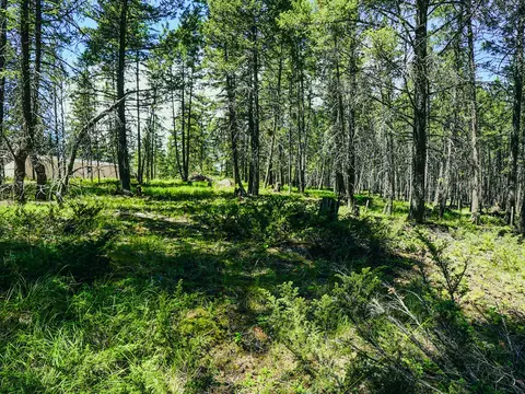Exterior - 558 Bald Rock Rd, Kalispell, MT 59901 photo 36 of 48
