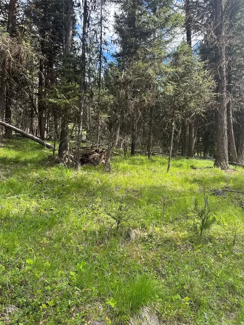 1274 Grandview Dr, Seeley Lake, MT 59868