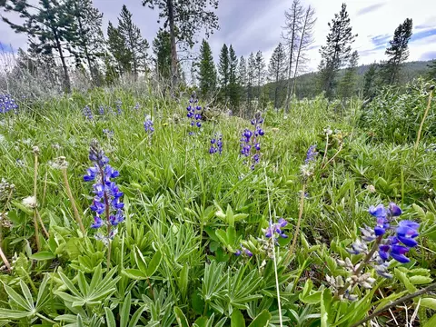 Other - 14901 Mt Hwy 43, Wisdom, MT 59761 photo 12 of 28