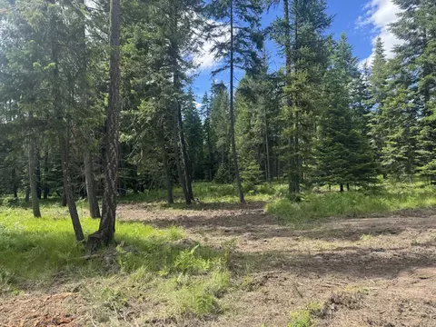 Nhn Big Fir Drive, Thompson Falls, MT 59873