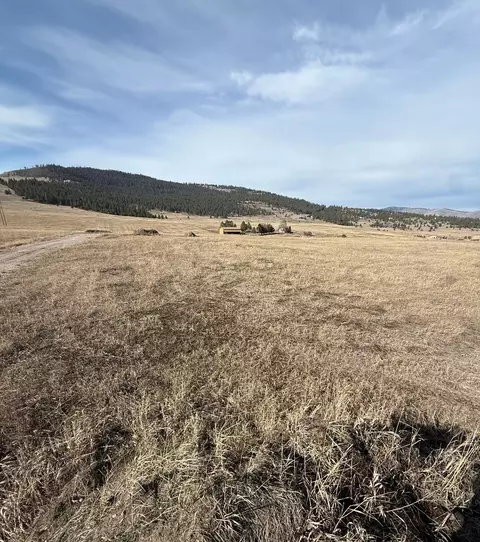 Nhn Walking Horse Lane, Big Arm, MT 59910