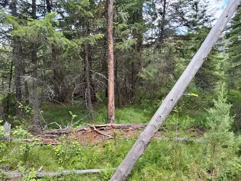 Exterior - 746 Tami Dr E, Superior, MT 59872 photo 9 of 16